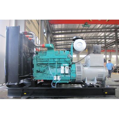 250kw重慶康明斯柴油發(fā)電機(jī)組-重慶康明斯6缸柴油機(jī)NTA855-G1A柴油發(fā)電機(jī)組,缸徑/行程：140/152mm,柴油發(fā)電機(jī)組水冷發(fā)動(dòng)機(jī)功率291KW,柴油發(fā)電機(jī)組配套馬拉松斯坦福發(fā)電機(jī)。廠價(jià)直銷歡迎選購(gòu)：13773399855。